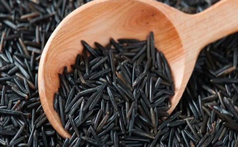 కొవ్వు పదార్థాలు మంచివా? హానికరమా?
