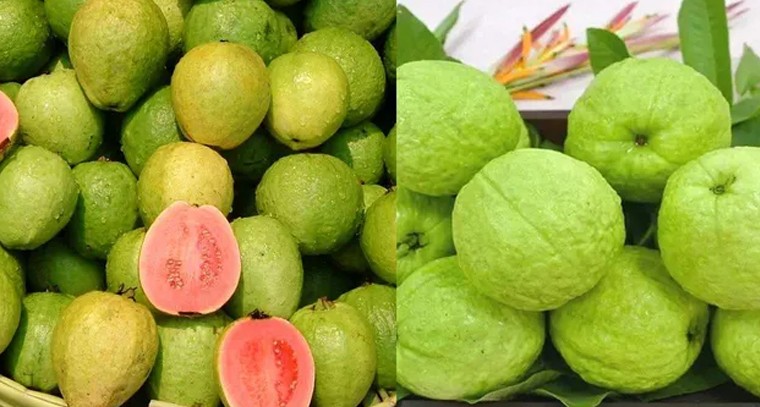 జామపండు తింటే ఇన్ని ఆరోగ్య ప్రయోజనాలు...!
