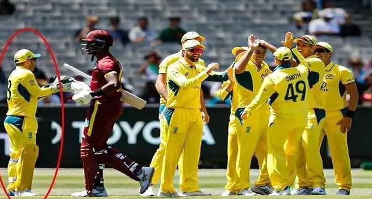 బీర్ ఎక్కువగా తాగితే.. కాలేయంపై ఎఫెక్ట్
