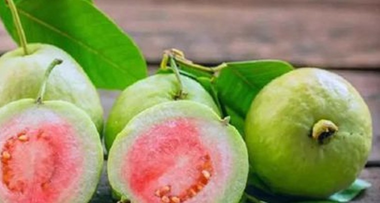 జామకాయ తింటే మహిళలకు కలిగే లాభాలివే
