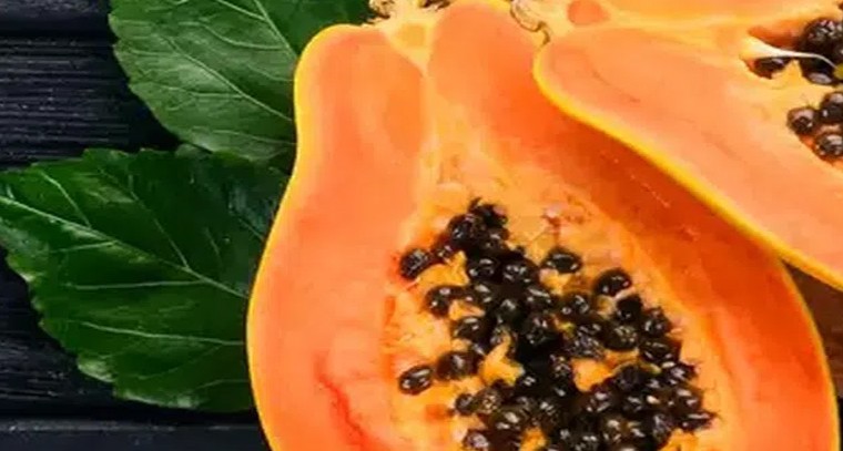 బొప్పాయి ఆకుతో ఎన్ని ప్రయోజనాలో.!
