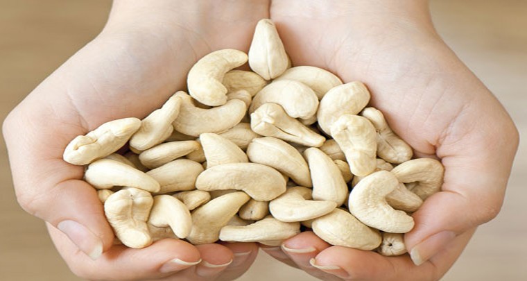 జీడిపప్పు తింటే బరువు తగ్గుతారా?
