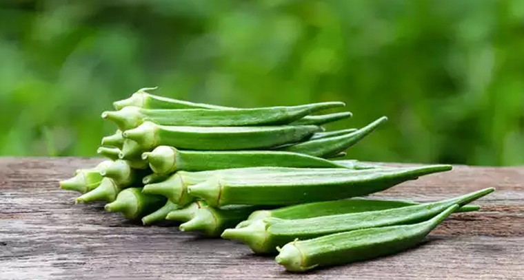 డయాబెటిస్ ఉన్న వాళ్లు బెండకాయ తినొచ్చా?
