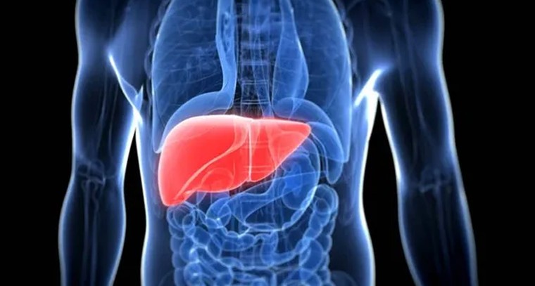 సపోటాలతో అద్భుతమైన ఆరోగ్య ప్రయోజనాలు