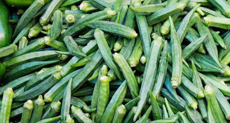 బెండ‌కాయ‌ల వల్ల అద్భుత ఆరోగ్య ప్రయోజనాలు
