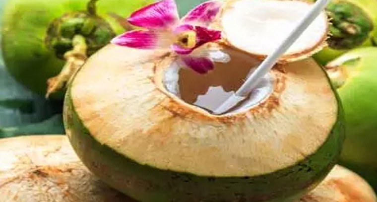 కొబ్బరి నీరు తాగడం వల్ల ఎలాంటి ప్రయోజనాలున్నాయో తెలుసా?
