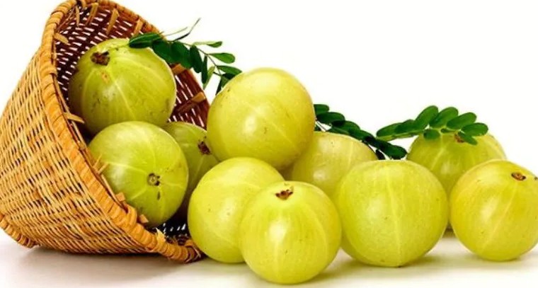 ఉసిరితో ఈ సమస్యలకు చెక్
