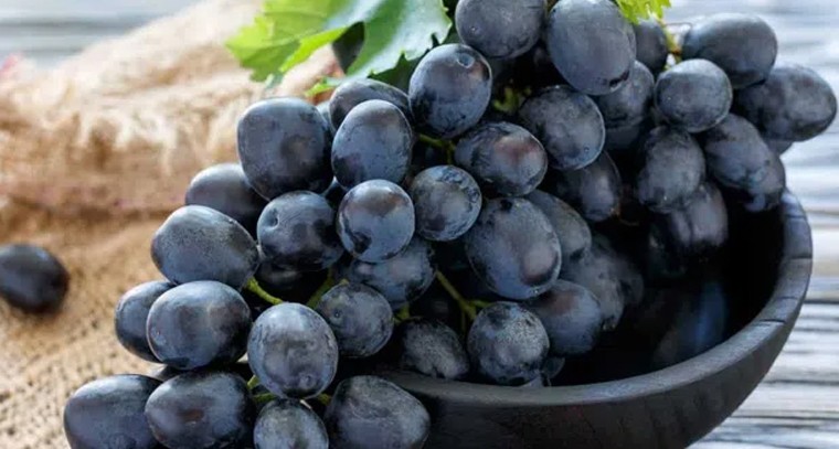 నల్ల ద్రాక్షతో ఆరోగ్య ప్రయోజనాలు
