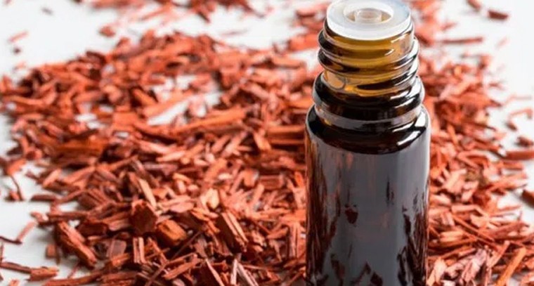 గంధం నూనెతో అనారోగ్య సమస్యలకు చెక్
