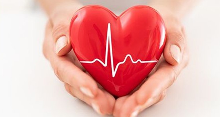 గుండె ఆరోగ్యాన్ని కాపాడుకోండిలా
