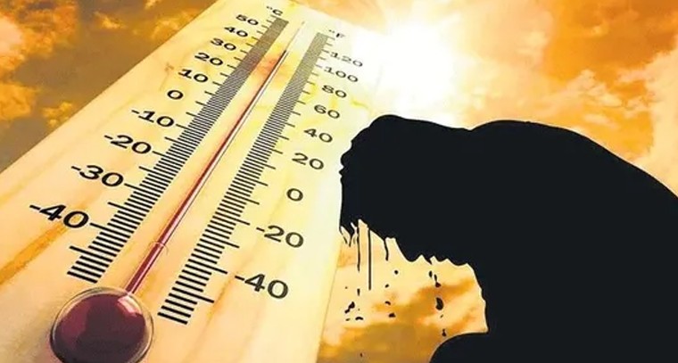 టమాటా గింజల్ని తింటే ఏమవుతుందో తెలుసా?
