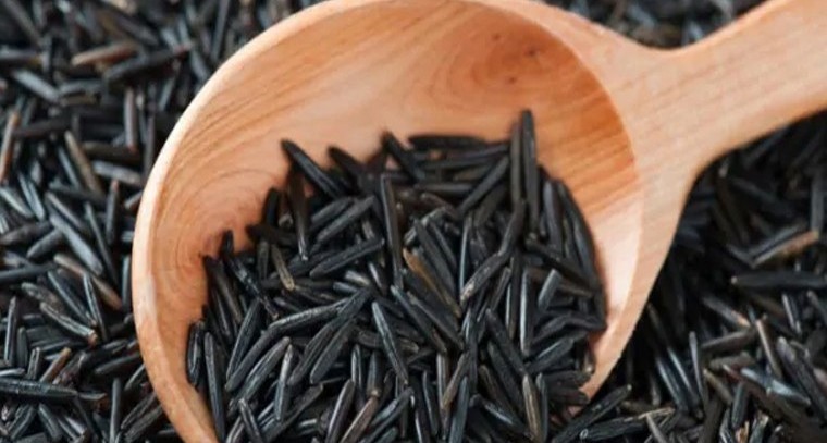 కొవ్వు పదార్థాలు మంచివా? హానికరమా?
