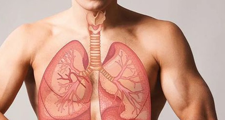 ఊపిరితిత్తుల ఆరోగ్యానికి చేయండిలా
