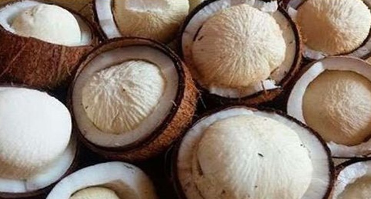 ఈ పువ్వును ఎప్పుడైనా తిన్నారా..?
