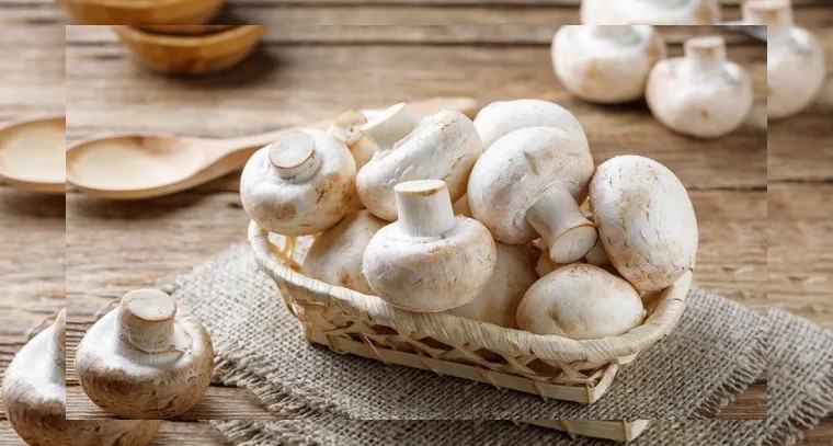 పుట్టగొడుగులు తింటే ఈ 5 వ్యాధులు దరిచేరవట