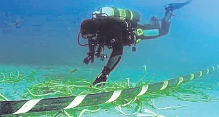 మల్బరీతో అనేక సమస్యలకు చెక్
