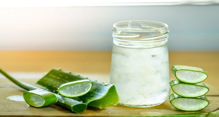 కలబంద గుజ్జుతో లాభాలివే
