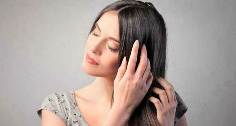 తమలపాకులతో జుట్టు సమస్యలకు చెక్
