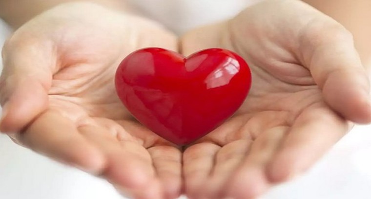 ఇవి తింటే గుండెపోటు మీ దగ్గరికి రాదు
