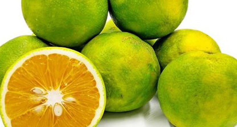 రోజూ ఒక గ్లాస్‌ బత్తాయి రసం తాగండి
