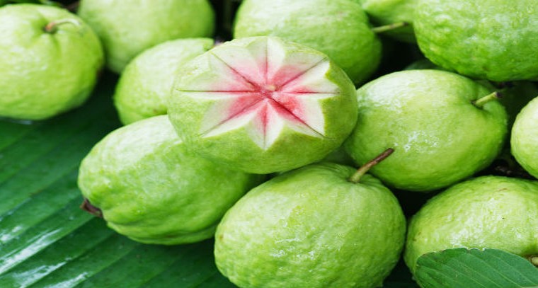 జామకాయ తింటే మహిళలకు కలిగే లాభాలివే
