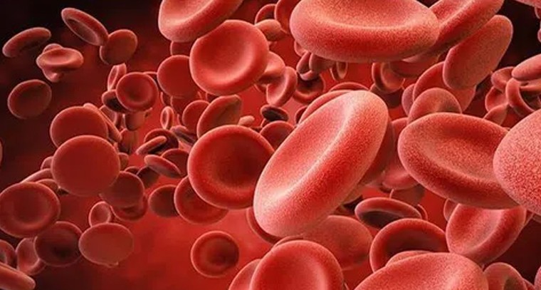 ప్లేట్‌లెట్స్ పెరగాలంటే ఇవి తినండి
