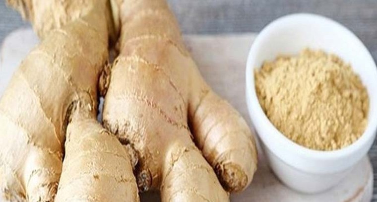 అల్లంతో ఎన్నో ఆరోగ్య ప్రయోజనాలు
