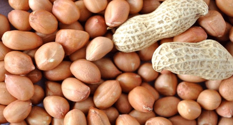 పల్లీలతో ఈ సమస్యలకు చెక్
