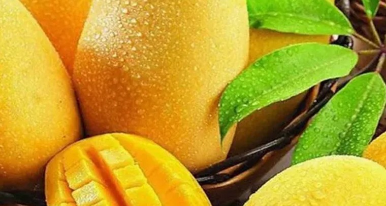 మామిడి పండుతో ఎన్ని ప్రయోజనాలో తెలుసా..?
