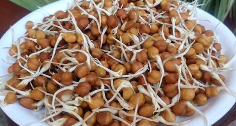 శనగ మొలకలతో ఒత్తిడి మాయం
