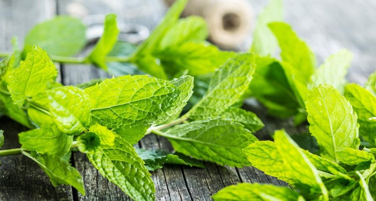 పుదీనాతో ఆ సమస్యలకు చెక్