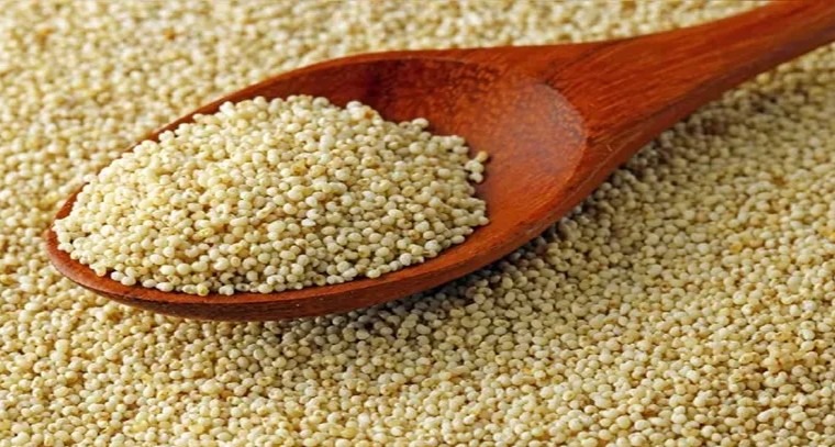 గసగసాలు వల్ల కలిగే లాభాలు తెలుసుకోండి!
