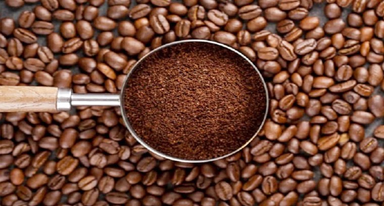 కాఫీ పొడితో బొద్దింకలు సమస్యలకు చెక్..!
