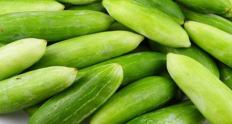 దొండకాయతో ఆరోగ్య ప్రయోజనాలు
