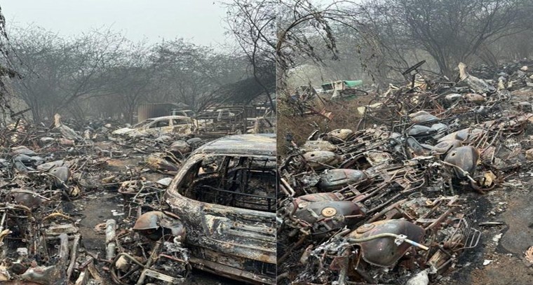 విటమిన్ బీ12 లోపిస్తే ఏం జరుగుతుంది?
