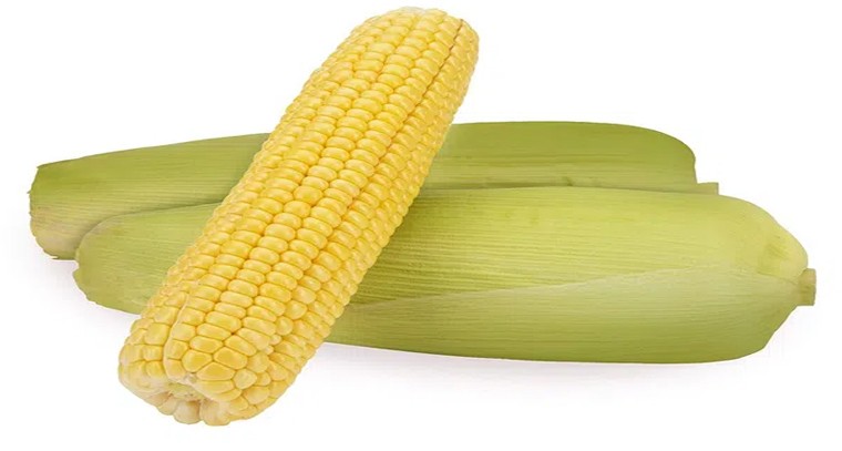 స్వీట్‌ కార్న్‌ తో కలిగే ఆరోగ్య ప్రయోజనాలు
