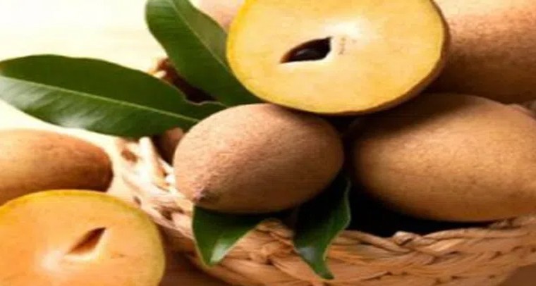 వేసవిలో సపోటా తింటే ప్రయోజనాలివే!
