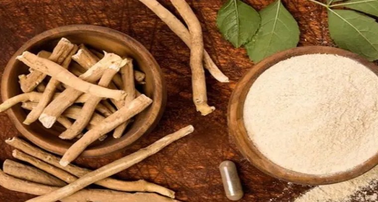 అశ్వగంధతో మగవారికి ఎన్నో ప్రయోజనాలు
