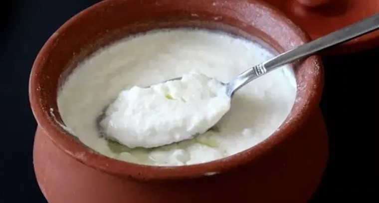 వర్షాకాలంలో పెరుగు తినొచ్చా? నిపుణులు ఏం చెబుతున్నారంటే!
