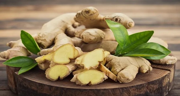 చలికాలంలో జలుబు, దగ్గు సమస్యలా.. ఈ డ్రింక్స్ ట్రై చేయండి
