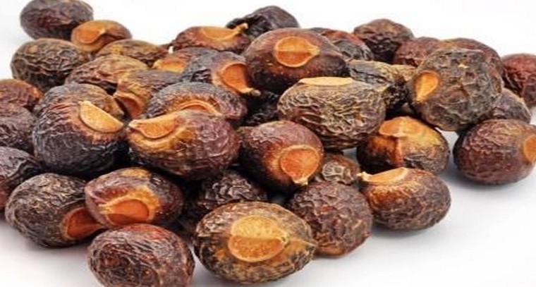 కుంకుడుకాయతో ఆరోగ్య ప్రయోజనాలు
