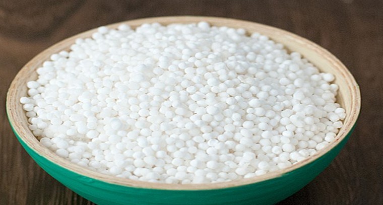 స‌గ్గుబియ్యం తినడం వల్ల కలిగే ప్రయోజనాలు