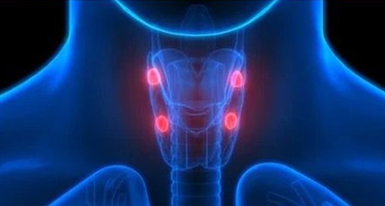 థైరాయిడ్‌ ఉన్న వారు తినకూడని ఆహార పదార్థాలివే..
