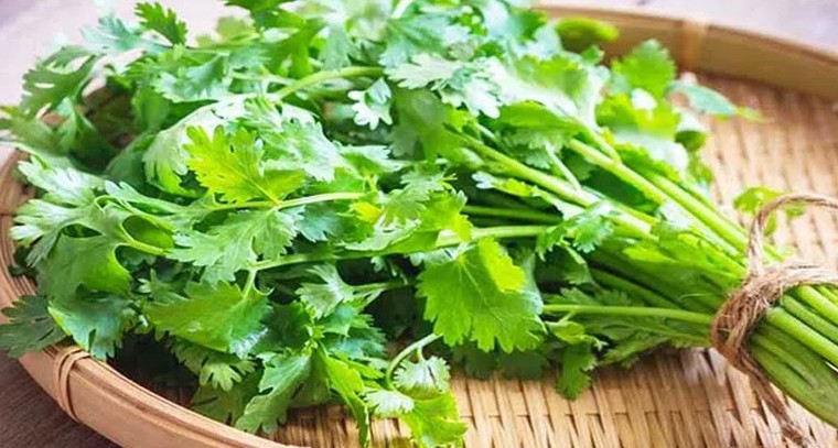 థైరాయిడ్ స‌మ‌స్య‌లకు ఇలా చెక్ పెట్టండి
