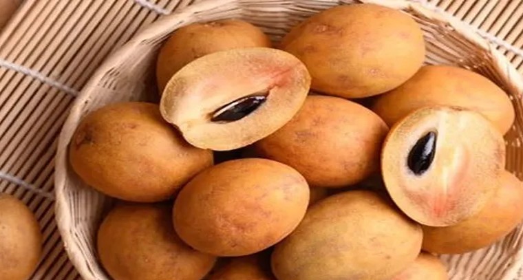 సపోటా పండ్లతో ఆరోగ్యానికి ఎన్నో ప్రయోజనాలు!
