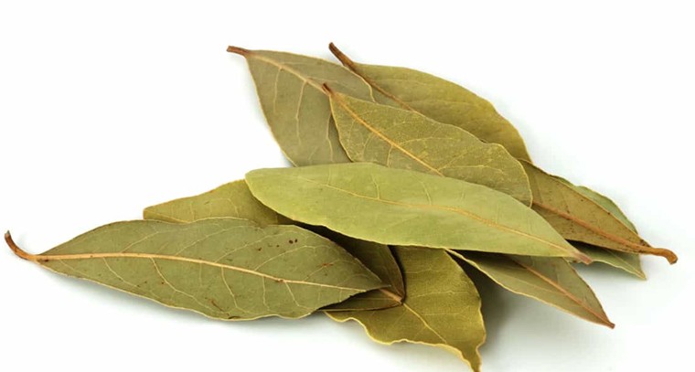 బిర్యానీ ఆకులో ఇన్ని ఔషధ గుణాలు దాగున్నాయా?
