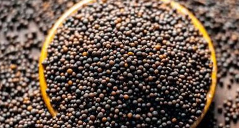 ఆవాల‌ను అంత తేలిగ్గా తీసిపారేయ‌కండి
