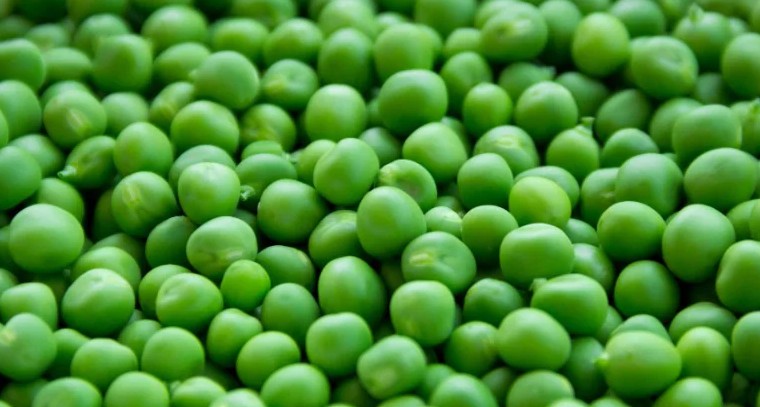 ప‌చ్చి బ‌ఠాణీతో ఎన్నో ఆరోగ్య ప్రయోజనాలు
