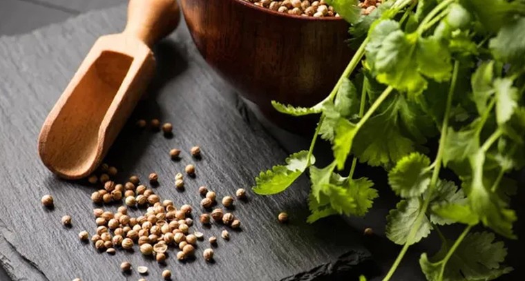 ఇవి తింటే.. థైరాయిడ్‌ కంట్రోల్‌లో ఉంటుంది…!
