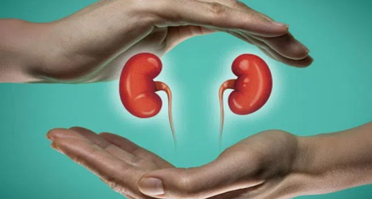 ఈ అలవాట్లతో మీ కిడ్నీలు సేఫ్
